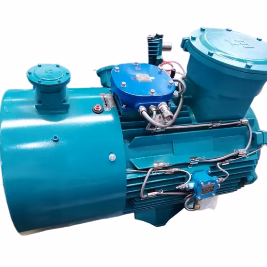 Стандарт IEC 3-фазный высокоэффективный электродвигатель переменного тока 50 Гц/60 Гц с высоким/низким напряжением