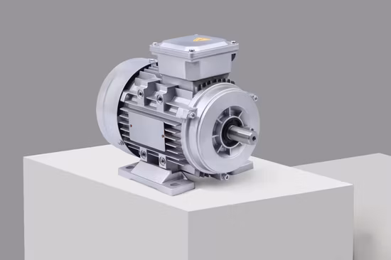 Двигатель постоянного тока 230 В для машины для мороженого. Синхронный двигатель постоянного тока с щеткой и постоянными магнитами.