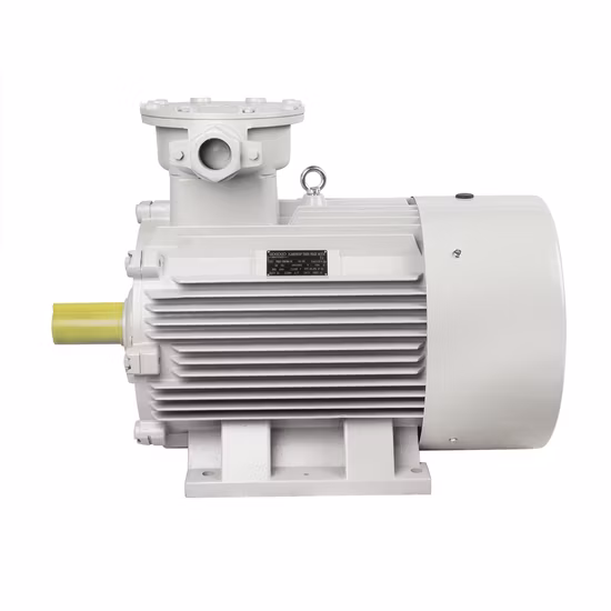 Взрывозащищенный взрывозащищенный асинхронный синхронный электродвигатель постоянного тока переменного тока